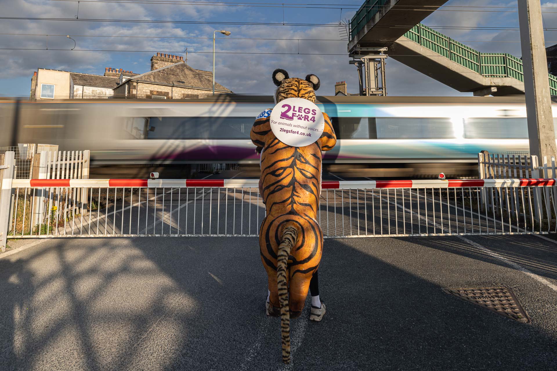 2 Legs for 4 Charity Event